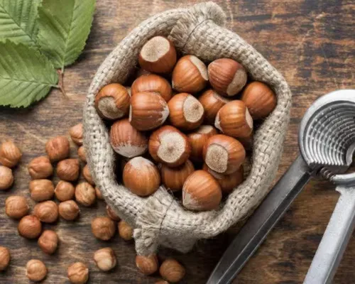 Raw in-shell Turkish hazelnuts