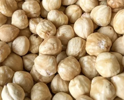 Raw and Blanched Hazelnut Kernels